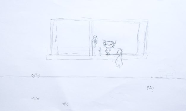 Un gato al azar