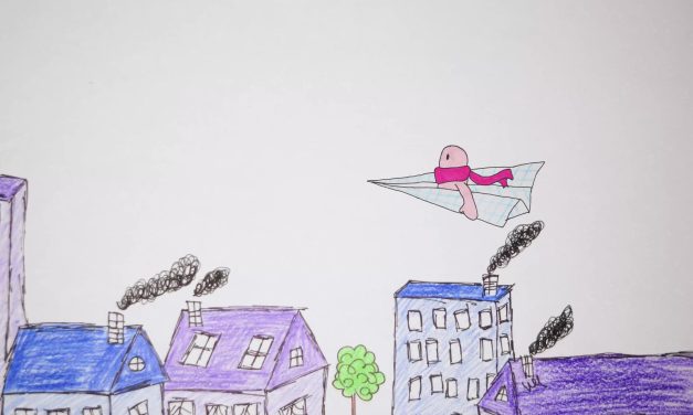 Vuelo